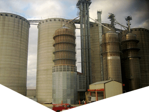 求一个靠谱的手机号群发平台